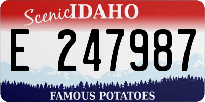 ID license plate E247987