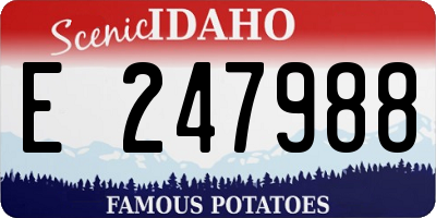 ID license plate E247988