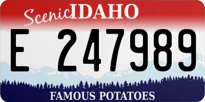 ID license plate E247989