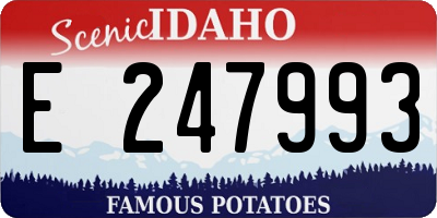ID license plate E247993