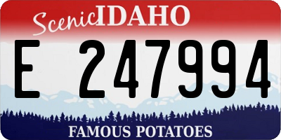 ID license plate E247994