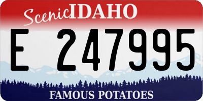 ID license plate E247995