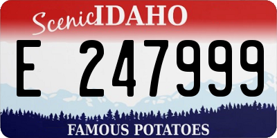 ID license plate E247999
