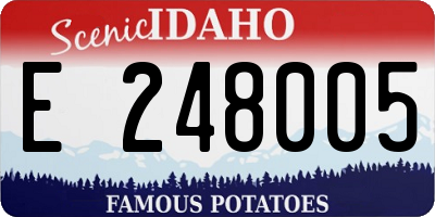 ID license plate E248005