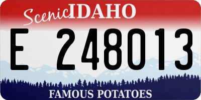 ID license plate E248013