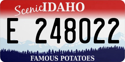 ID license plate E248022