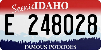 ID license plate E248028