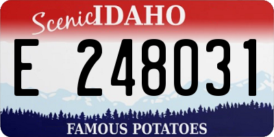 ID license plate E248031