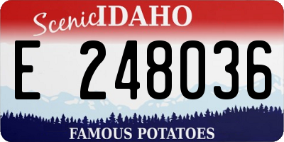 ID license plate E248036