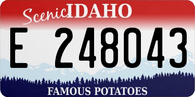 ID license plate E248043