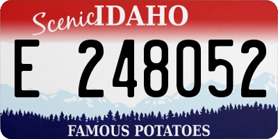 ID license plate E248052