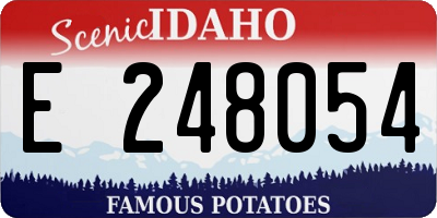 ID license plate E248054