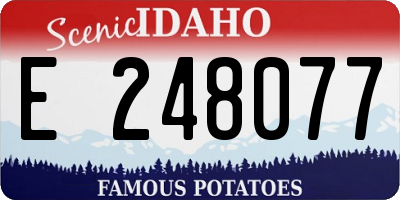 ID license plate E248077