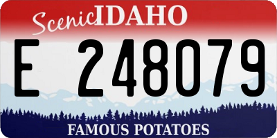ID license plate E248079