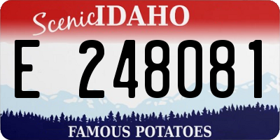 ID license plate E248081