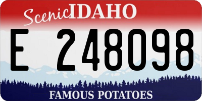 ID license plate E248098
