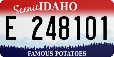 ID license plate E248101