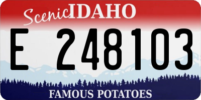 ID license plate E248103