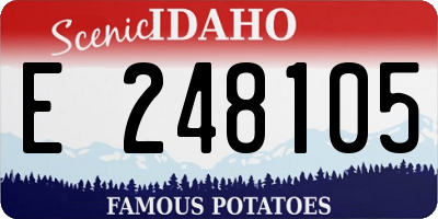 ID license plate E248105