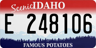 ID license plate E248106