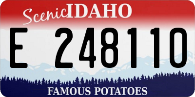 ID license plate E248110