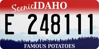 ID license plate E248111