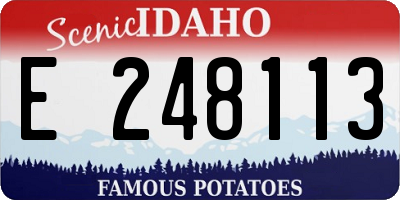 ID license plate E248113