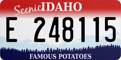 ID license plate E248115