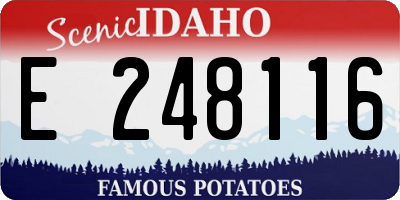 ID license plate E248116