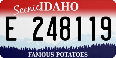 ID license plate E248119
