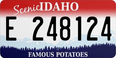 ID license plate E248124