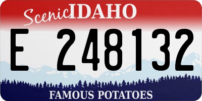 ID license plate E248132