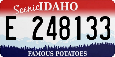 ID license plate E248133