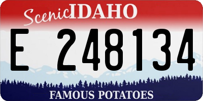 ID license plate E248134