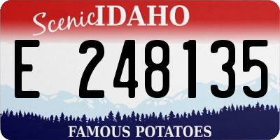 ID license plate E248135