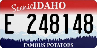 ID license plate E248148