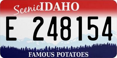ID license plate E248154