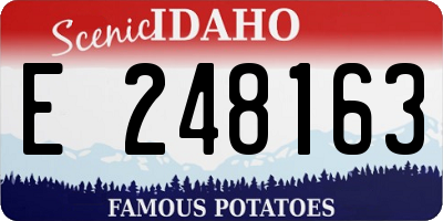 ID license plate E248163