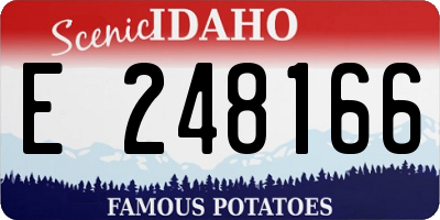 ID license plate E248166