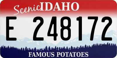 ID license plate E248172