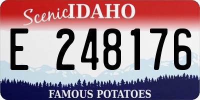 ID license plate E248176