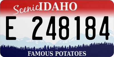 ID license plate E248184