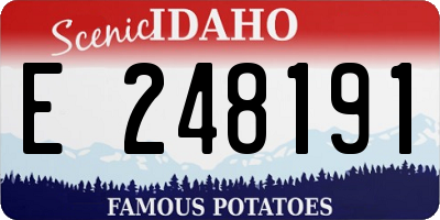 ID license plate E248191