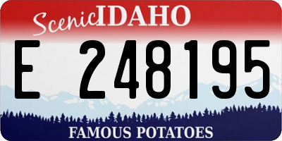 ID license plate E248195