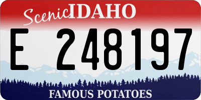 ID license plate E248197