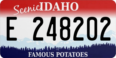 ID license plate E248202