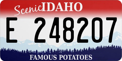 ID license plate E248207