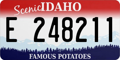 ID license plate E248211
