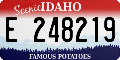 ID license plate E248219