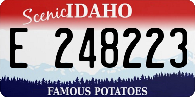 ID license plate E248223